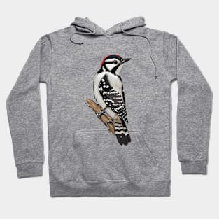 Downy Woodpecker Bird on a Tree Hoodie